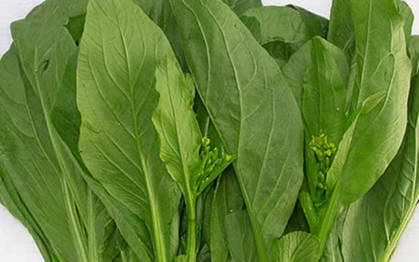 Phong tranh nhung loai benh de mac khi troi nom - Anh 14