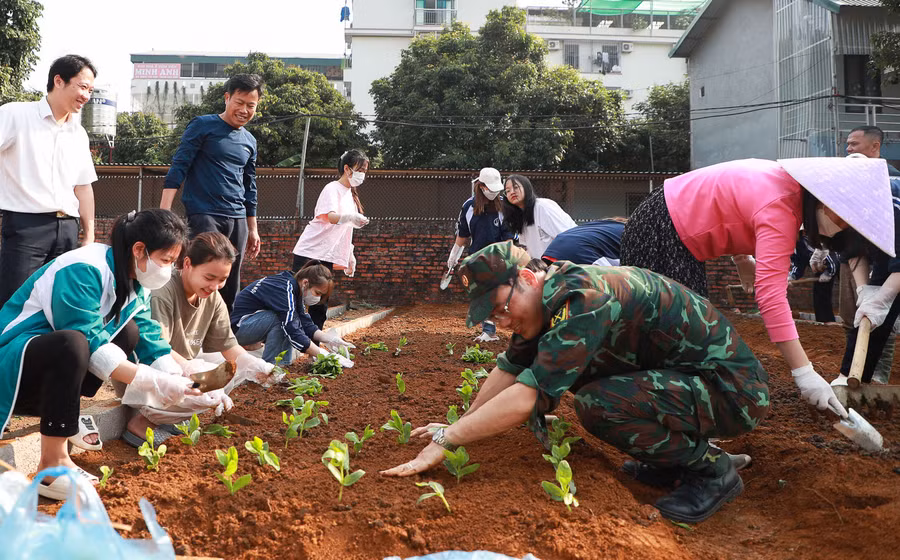 Gieo những mầm xanh cho chặng đường mới đưa ĐHQGHN vươn tới tầm cao.