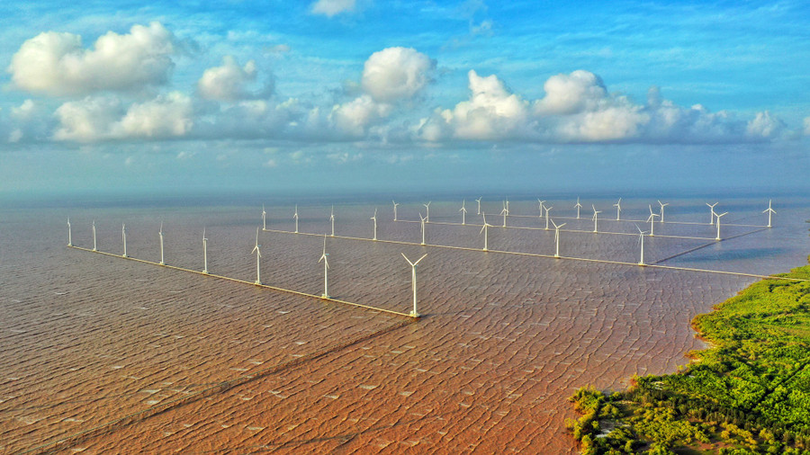 Cánh đồng điện gió Bạc Liêu. Ảnh Công Đạt