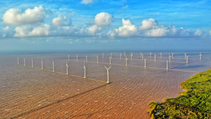 Cánh đồng điện gió Bạc Liêu. Ảnh Công Đạt