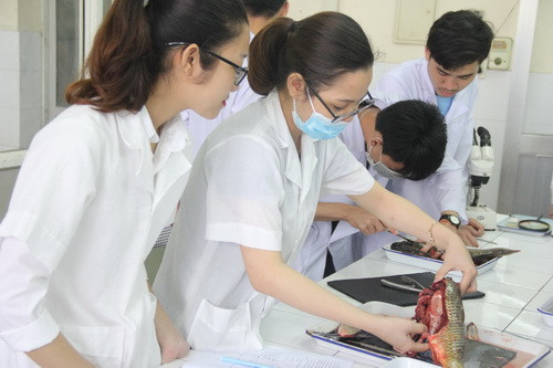 Sinh viên Trường ĐH Sư phạm Thái Nguyên trong giờ thực hành Sinh viên Trường ĐH Sư phạm Thái Nguyên trong giờ thực hành