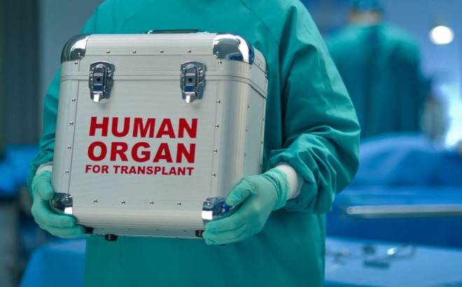 500 năm thành tựu đột phá của y học thế giới ảnh 10 500 năm thành tựu đột phá của y học thế giới