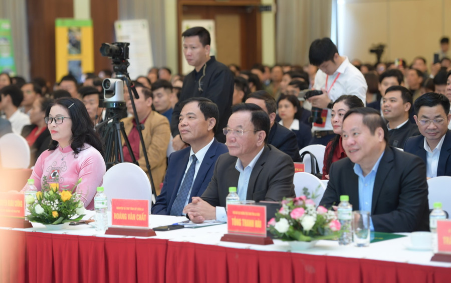 Các đại biểu tham dự Hội nghị. Các đại biểu tham dự Hội nghị.
