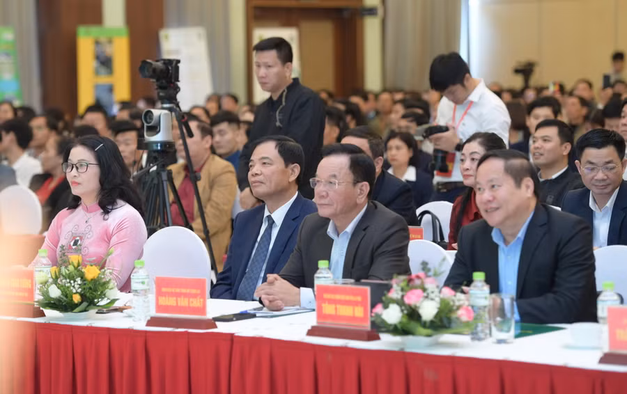 Các đại biểu tham dự Hội nghị.