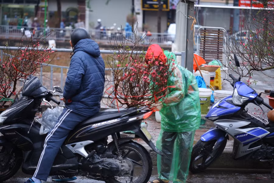 Hôm nay đã là 28 Tết, người bán đào quất vẫn hy vọng nhiều người dân Thủ đô sẽ mua hoa chưng Tết.