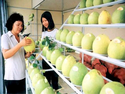 Sửa đổi thuế nhập khẩu ưu đãi một số mặt hàng