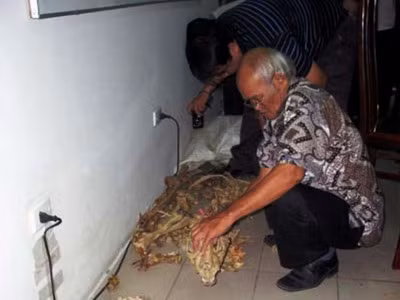 Phá đường dây buôn bán xương động vật hoang dã nấu cao cực lớn