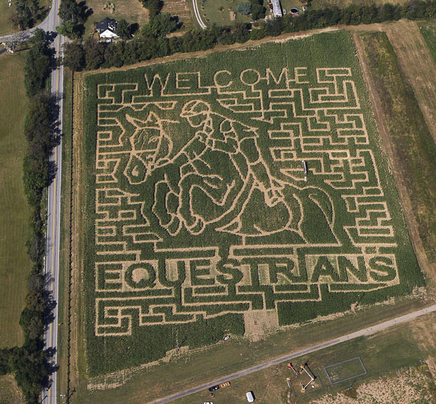 A giant corn field maze at the Kelley Farms welcomes the riders for the World Equestrian Games, in Lexington, Kentucky