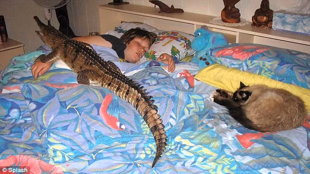 Johnie - the 14-year-old freshwater female - crawls across Andrew’s bed Read more: http://www.dailymail.co.uk/news/article-1310583/Croc-Ladys-family-snaps-Meet-nurse-lives-pet-crocodiles.html#ixzz11jZHt6dx