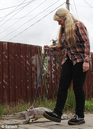 Vicki dắt cá sấu đi dạo Nice crocs: Vicki admits to getting funny looks while walking he pets Read more: http://www.dailymail.co.uk/news/article-1310583/Croc-Ladys-family-snaps-Meet-nurse-lives-pet-crocodiles.html#ixzz11jZlJyyX