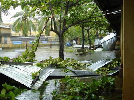 Các trường học oằn mình sau bão