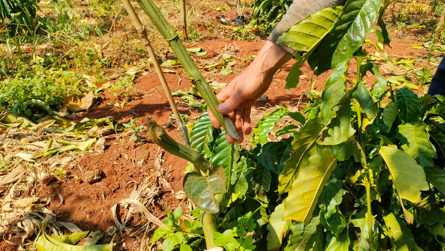 Ước tính thiệt hại khoảng 500 triệu đồng. Ước tính thiệt hại khoảng 500 triệu đồng.