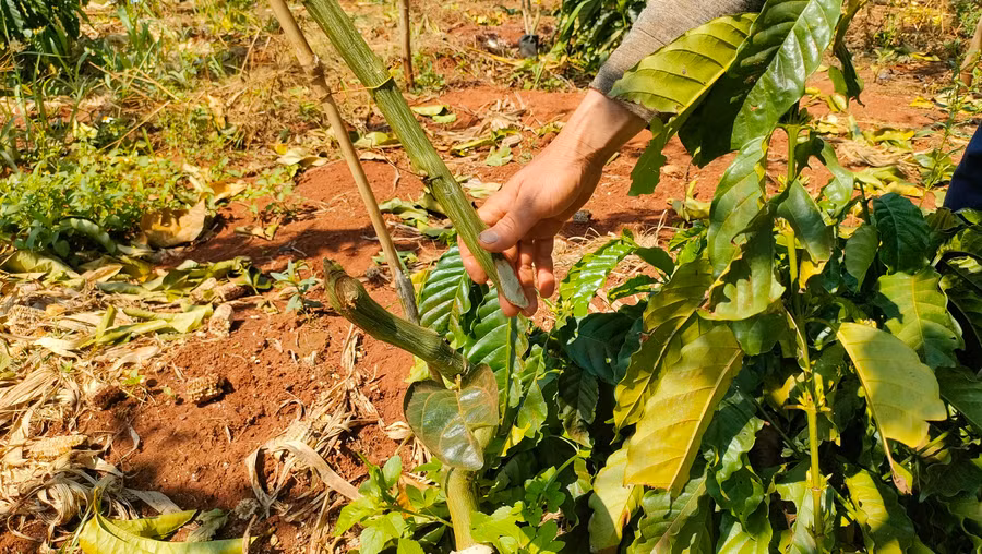 Ước tính thiệt hại khoảng 500 triệu đồng.