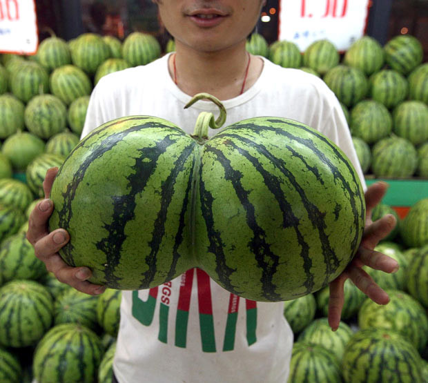 Chùm ảnh: Thế giới vui và lạ ảnh 2 A man holds conjoined watermelons at a supermaket in Hangzhou, Zhejiang province, China