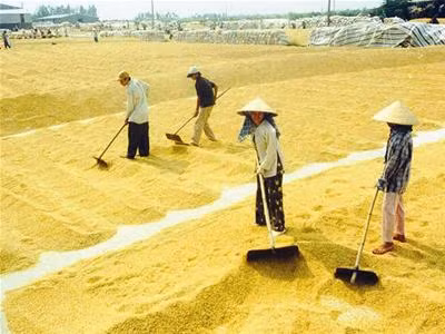 Dự báo một số mặt hàng thiết yếu năm 2011