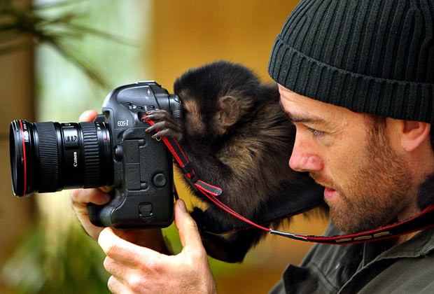 IJ the capuchin monkey looks through a camera in Sydney, Australia. The 20-month-old monkey is being trained for education displays and TV/film work...