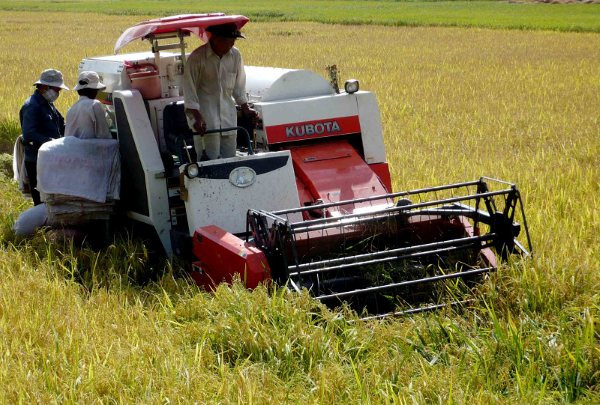 Ứng dụng máy gặt đập liên hợp