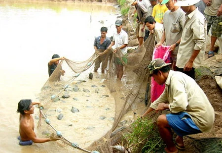 Vi phạm pháp luật bảo vệ môi trường ngày càng gia tăng