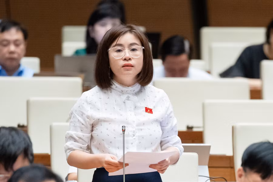 Đại biểu Nguyễn Việt Hà (Đoàn ĐBQH tỉnh Tuyên Quang).