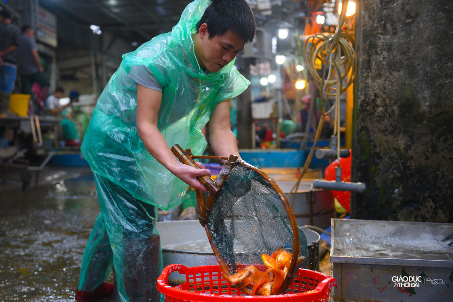 Loại cá chọn tại chợ có giá khoảng 90 - 120 nghìn đồng/kg, còn mua theo kg múc lên thì giá khoảng chỉ khoảng 60 nghìn/kg.