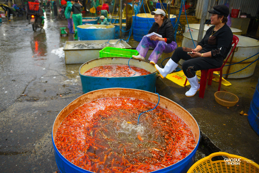 Chợ cá Yên Sở là chợ cá đầu mối lớn nhất Hà Nội cung cấp cá cho thành phố.