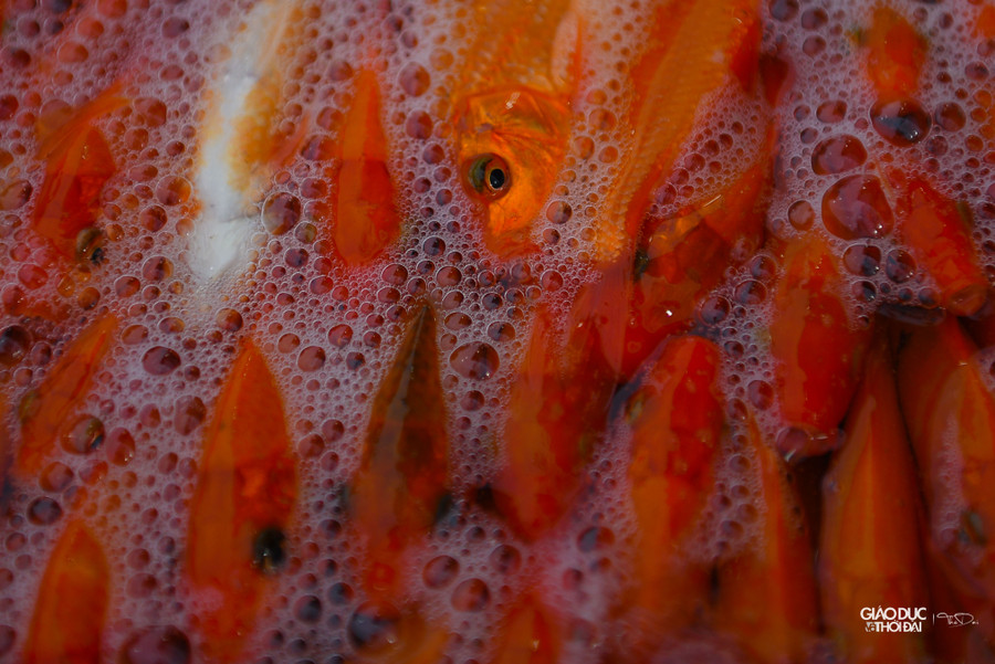 Về giá cả năm nay tại chợ giảm giá mạnh, nhiều tiểu thương than lỗ &apos; nặng&apos; do cá đã đặt từ trước, giá bán ra lại quá rẻ.