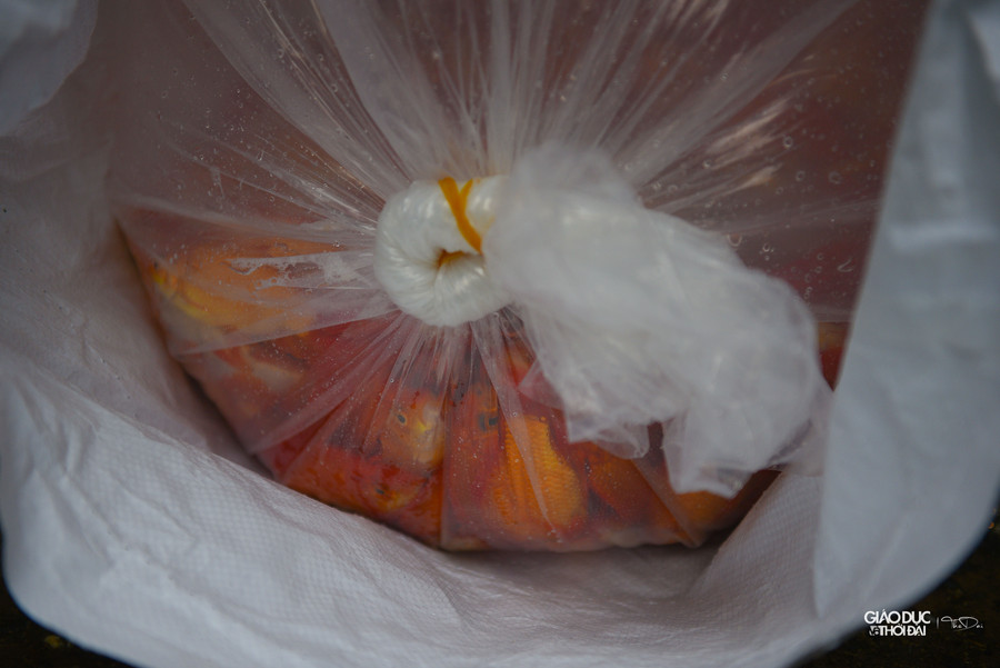 Loại cá chọn tại chợ có giá khoảng 90 - 120 nghìn đồng/kg, còn mua theo kg múc lên thì giá khoảng chỉ khoảng 60 nghìn/kg.