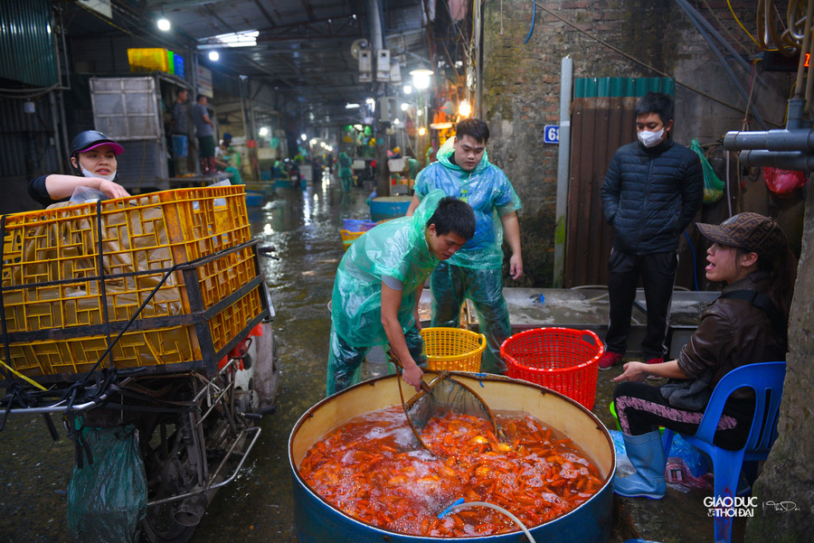 Loại cá chọn tại chợ có giá khoảng 90 - 120 nghìn đồng/kg, còn mua theo kg múc lên thì giá khoảng chỉ khoảng 60 nghìn/kg.