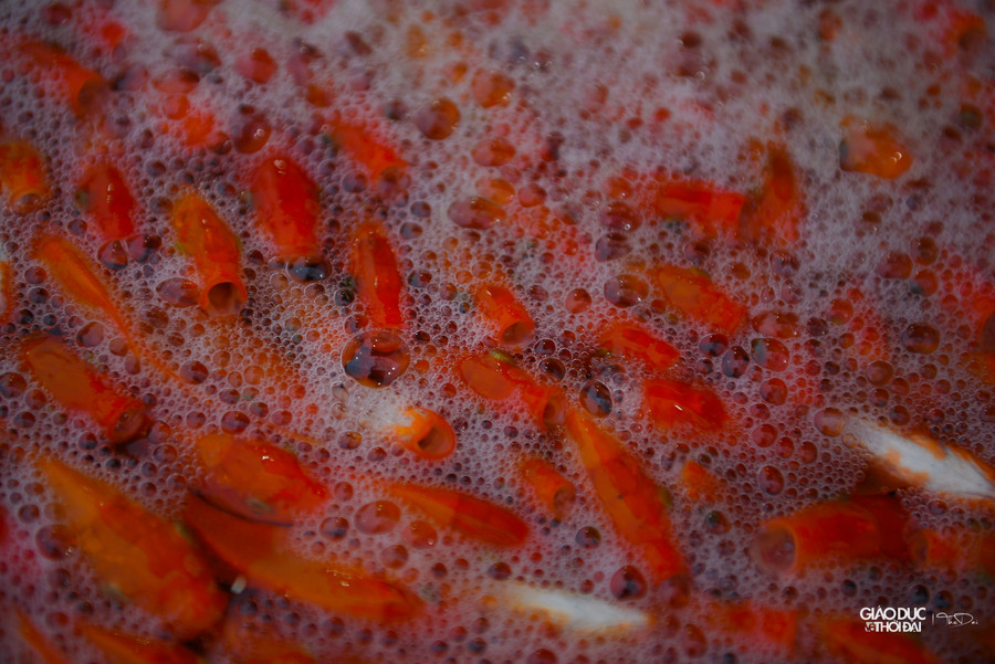 Về giá cả năm nay tại chợ giảm giá mạnh, nhiều tiểu thương than lỗ &apos; nặng&apos; do cá đã đặt từ trước, giá bán ra lại quá rẻ.