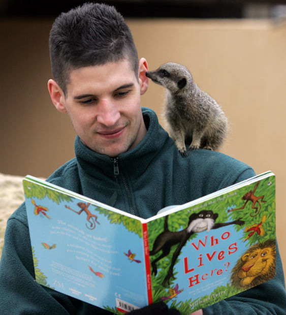 Ảnh động vật đẹp trong tuần ảnh 4 A meerkat appears to listen as a zookeeper while he reads a children