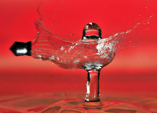 A retired American police officer has captured a pellet flying through a falling water drop. Dennis Havel decided to take on the seemingly impossible challenge after a fellow photography enthusiast bet him 50 US dollars that it couldn’t be done. 