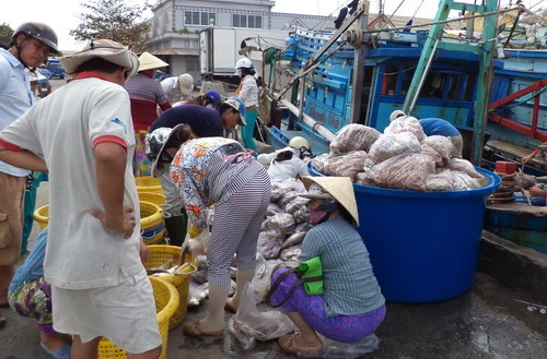 Đầu năm ngư dân phấn khởi