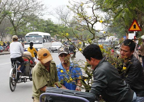 Thừa Thiên Huế: Rực rỡ sắc màu mới từ Hội Hoa Xuân Quý Tỵ 2013