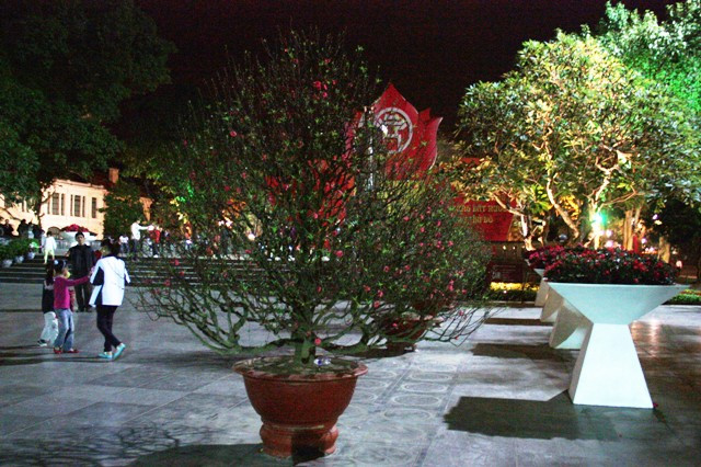 Bình yên đêm Hà Nội ngày cận Tết ảnh 3