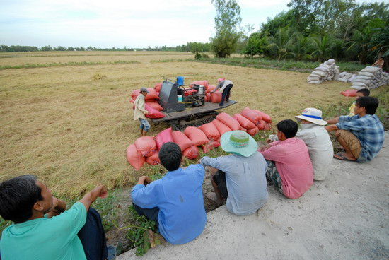 Vụ lúa ĐX này nông dân thuê máy móc làm hết các khâu, nên rất khỏe chỉ ngồi trên bờ mẫu để xem và chờ thương lái đến mua lúa