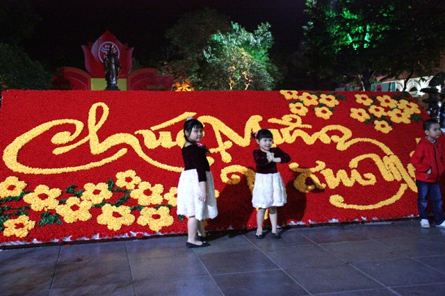 Bình yên đêm Hà Nội ngày cận Tết ảnh 2