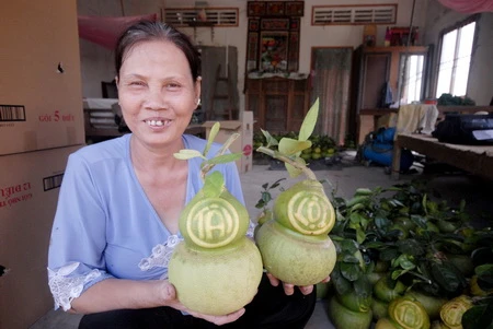 Miền Tây tất bật cung ứng trái cây &quot;độc&quot; cho mùa tết