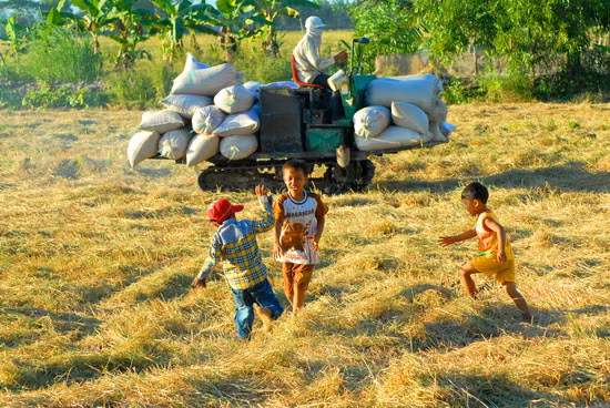 Trẻ em vui đùa trong ngày mùa 