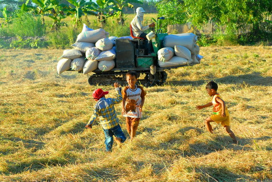 Trẻ em vui đùa trong ngày mùa 