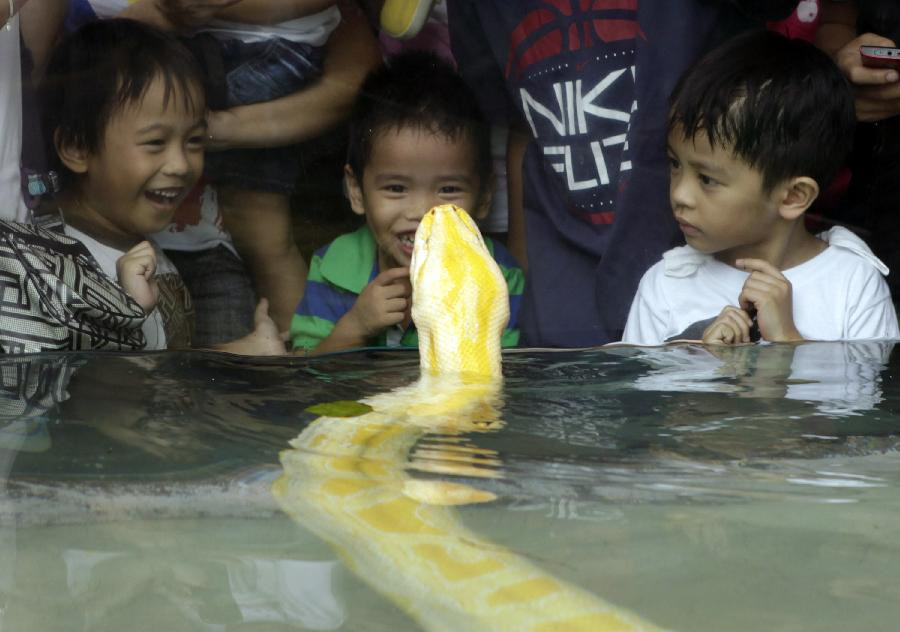 Children look at an albino python named 