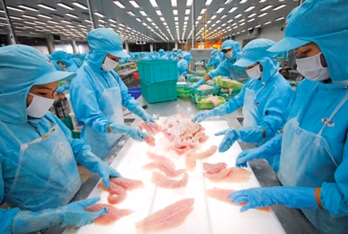 Xuất khẩu thủy sản: Việt Nam đứng thứ 5 tại thị trường Mỹ