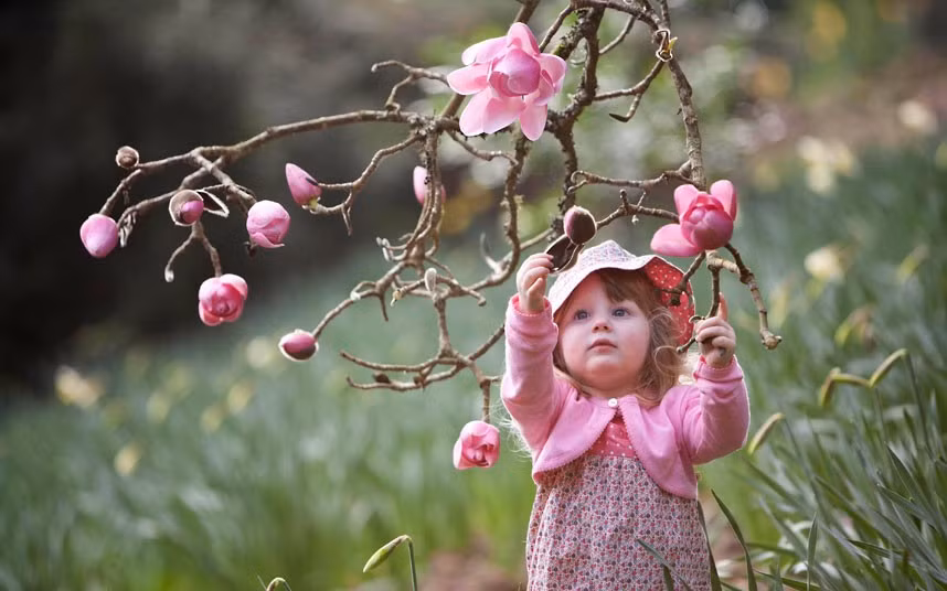 Những hình ảnh ấn tượng trong tuần