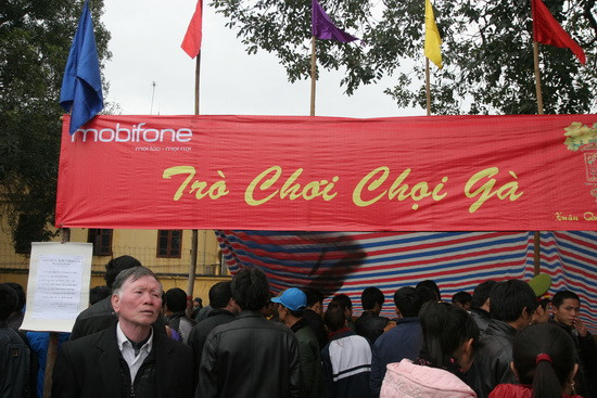 Trò chơi chọi gà được nhiều người thích thú