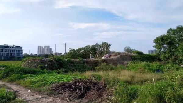 Dự án Đô thị mới TMS Land Đầm Cói sau hàng chục năm vẫn là đầm nước mênh mông