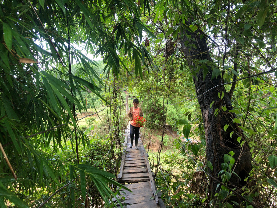 Cầu treo tạm bợ chỉ vừa một người đi. Cầu treo tạm bợ chỉ vừa một người đi.