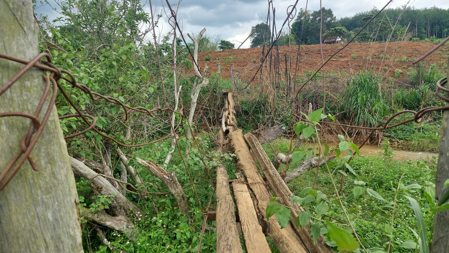 Cầu treo bắc qua suối Đăk Sing (thôn Đăk Lung, xã Kon Đào, huyện Đăk Tô) là con đường duy nhất mà 40 hộ dân đến khu sản xuất rộng khoảng 50ha. Cầu treo bắc qua suối Đăk Sing (thôn Đăk Lung, xã Kon Đào, huyện Đăk Tô) là con đường duy nhất mà 40 hộ dân đến khu sản xuất rộng khoảng 50ha.