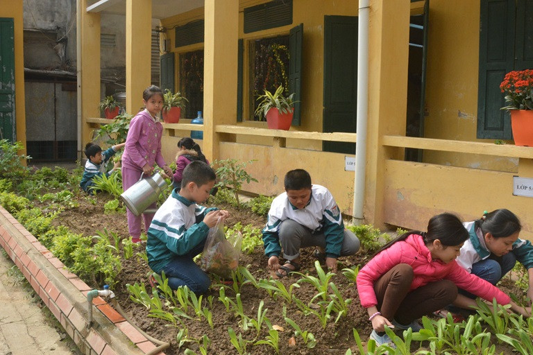 Rèn kỹ năng sống cho học sinh thông qua các hoạt động trải nghiệm