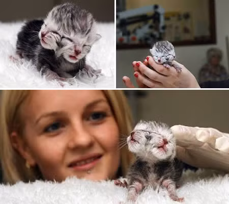 Chet khiep voi dien mao cua nhung 