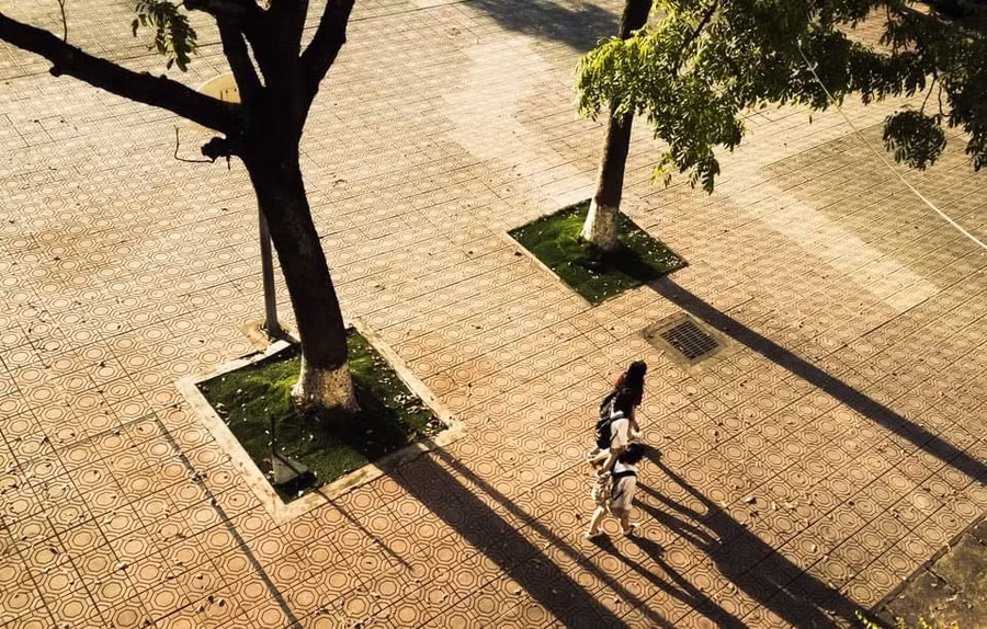 ...góc sân trường đầy kỷ niệm.