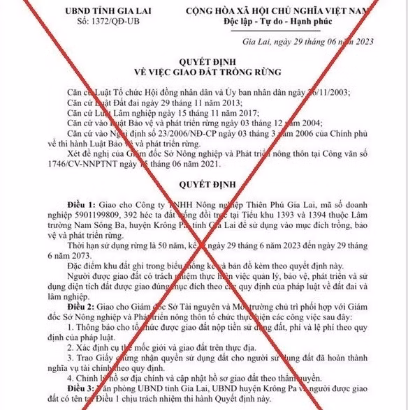 Quyết định giao 392ha đất cho doanh nghiệp trồng rừng được xác định là văn bản giả mạo.